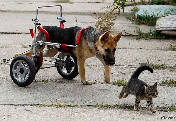 ������-�������