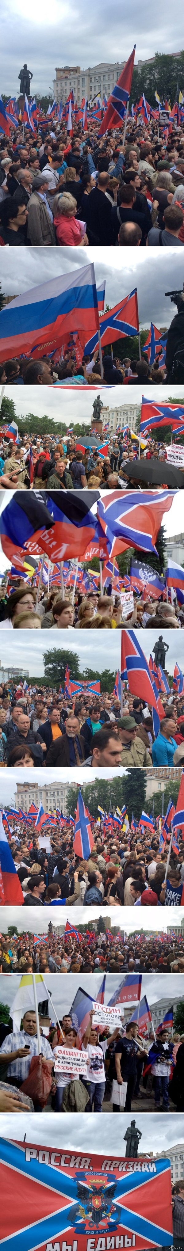 South Will Rise Again