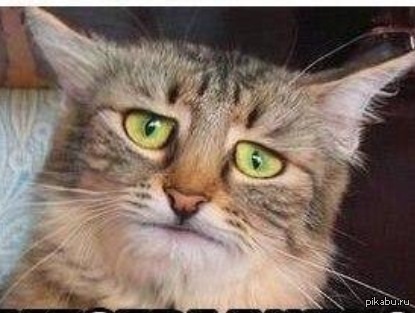 �� ����� ������� ����� �� ���� ���� ������ ����� ��� 4 ��� ��������.....