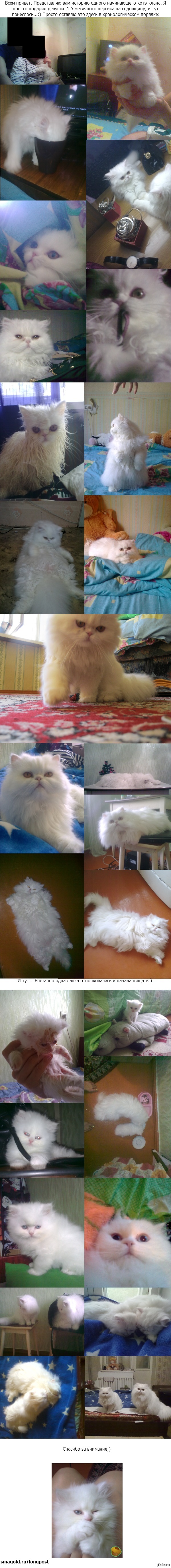 ����� ������