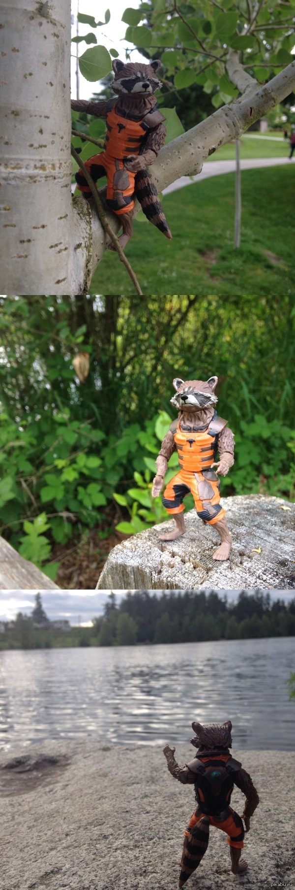 jet raccoon for a walk - My, Raccoon, Raccoons, Toys, Walk