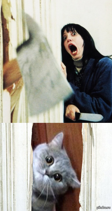 �� ����� �����