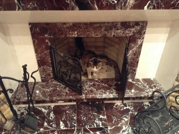 Сделал из камина вентилируемый лоток!) наверное буду учить его летать))))