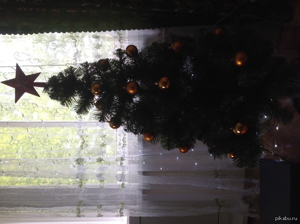 � ���� ����