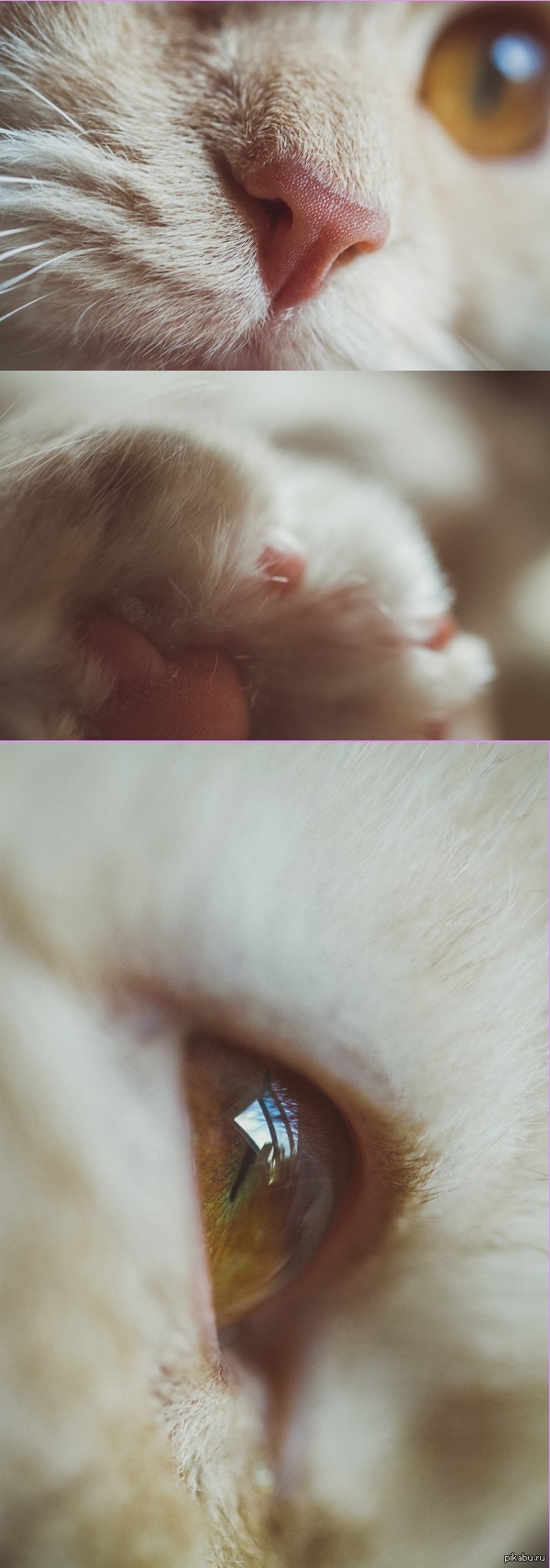  ! 