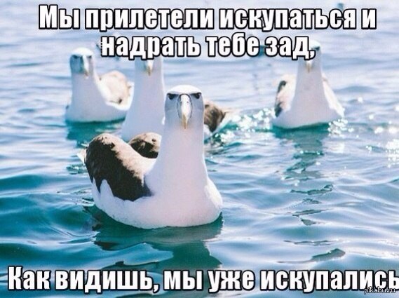 �� �� ��� �����)