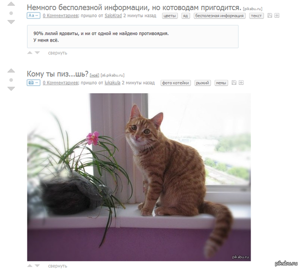 ����������?