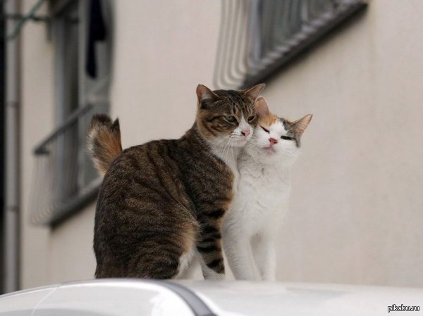 ��������� ��� ����� ���� � ������ ���� ���� ������ �����,� � ���� ��� :/