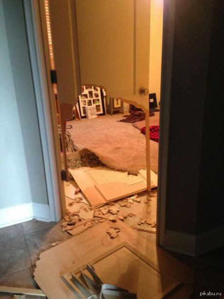 Вот, что бывает, когда огромный английский мастиф, сильно не хочет сидеть в комнате