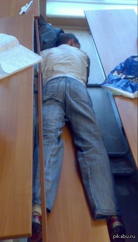 Эх, культурология)