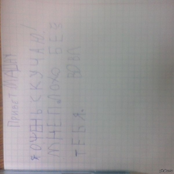 Письмо "убежавшей " кошке.