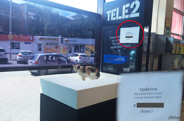 Видимо нынешний консультант их не устраивает :3