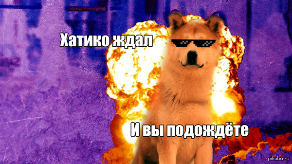  ,   - Cool doges don't look at explosions