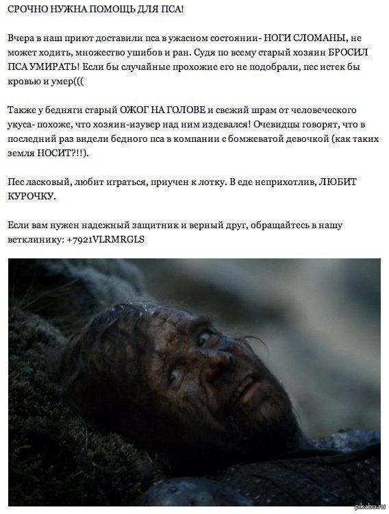 Поможем песику.