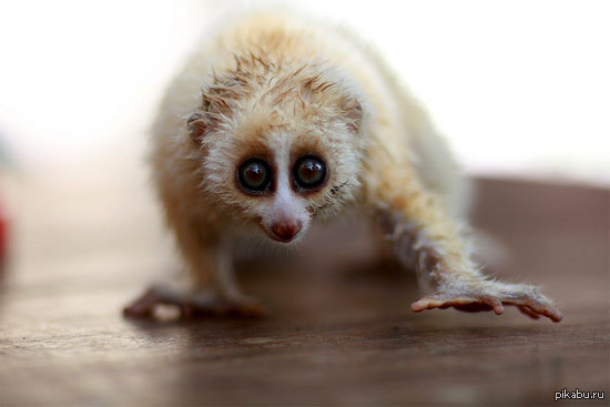 Так я возвращаюсь домой после тренировки