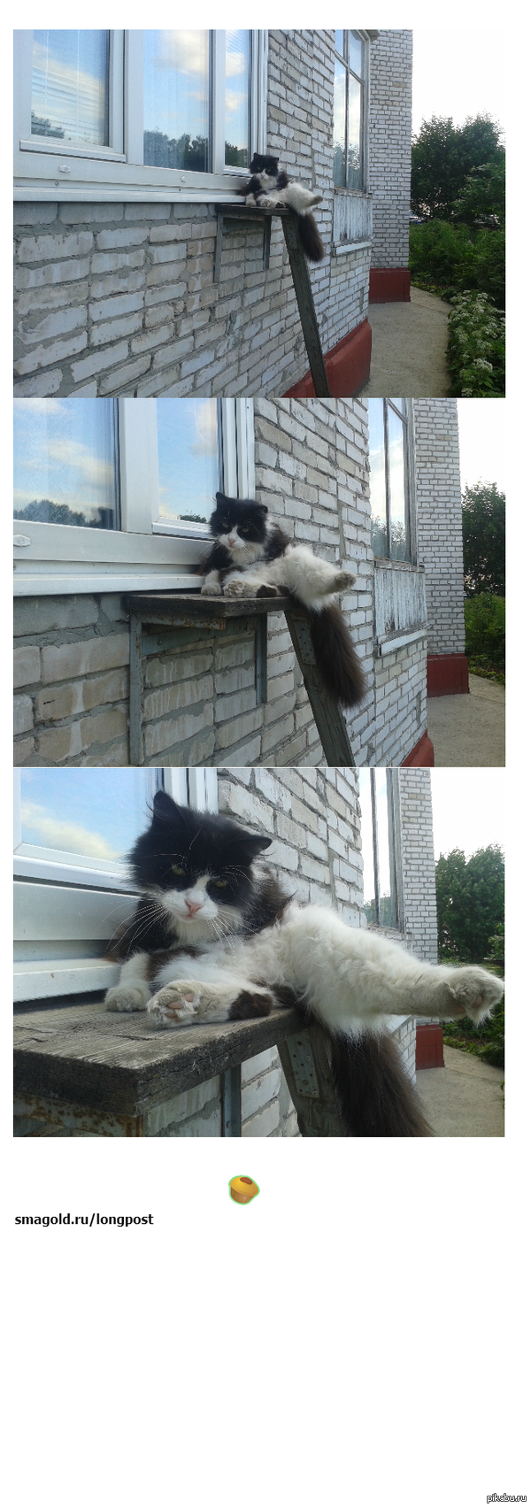 ���� ����������� � ���������