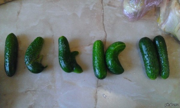 ������� ����������� �������