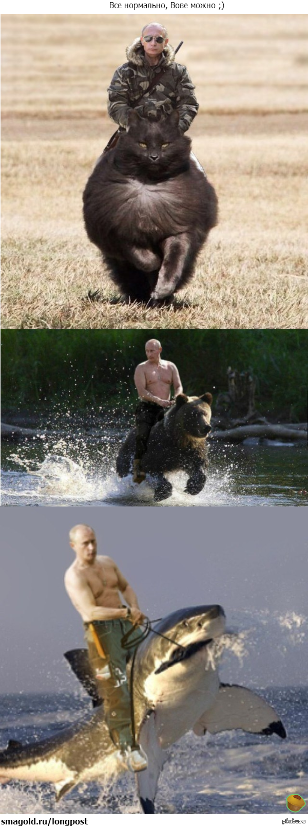 ��������! �� �������! �������� ���� ������������ ��������!