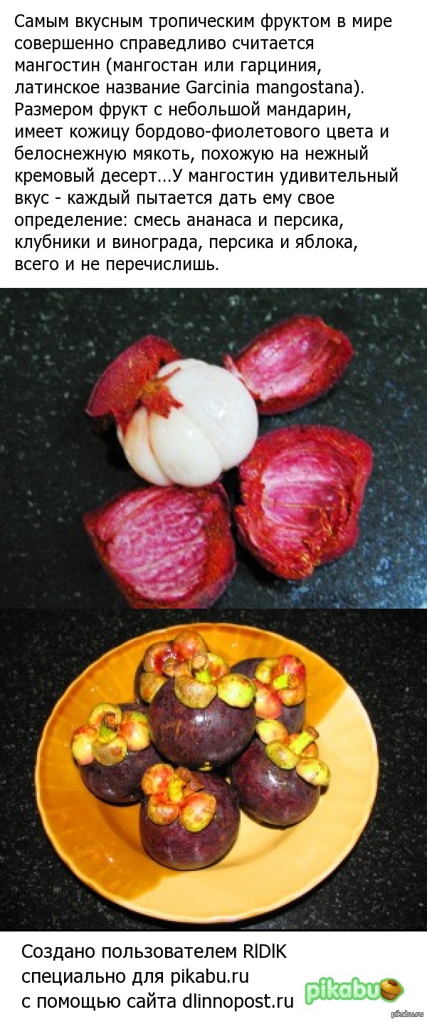 Мангостин - самый вкусный фрукт в мире!