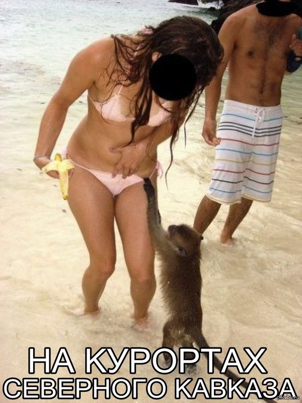 �� �������� ��������� �������