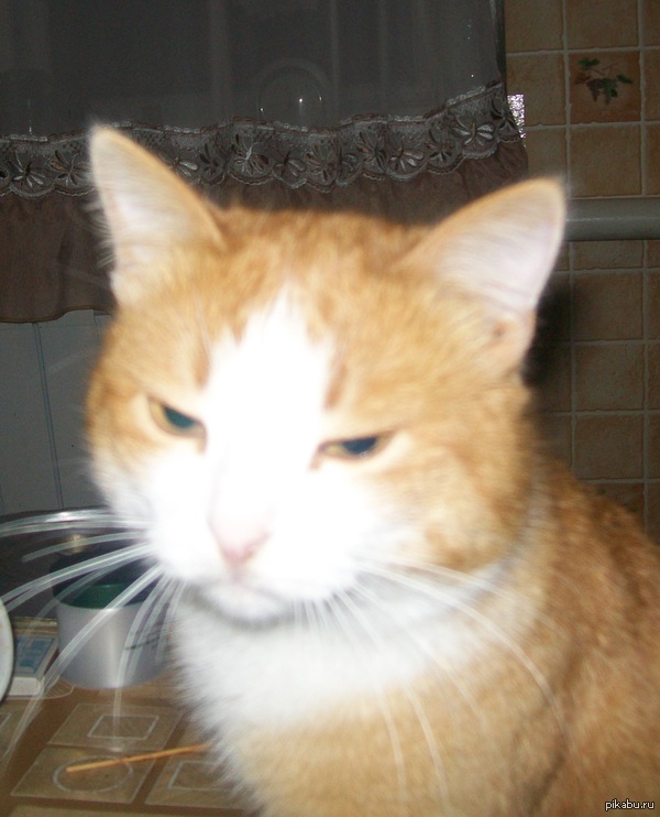 "� ����� ���������" - ������ �� ����� ����