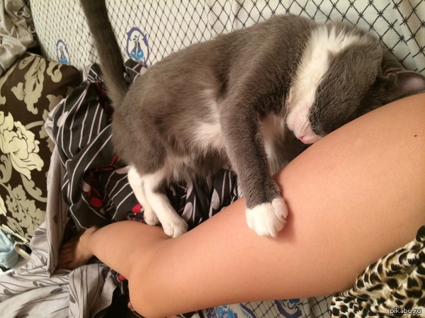 ��� ��� ������ ���� � �����, � �� ����� ����� ������ �� ����)