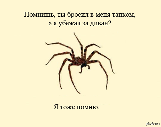 Они все помнят...