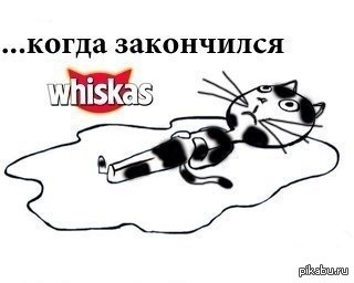 Свеженькое