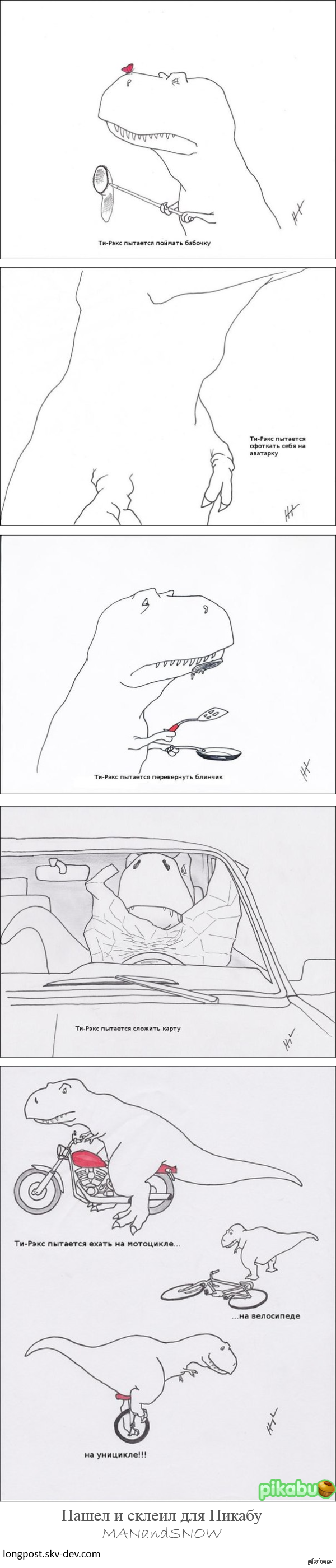 ������ ���� ��-������