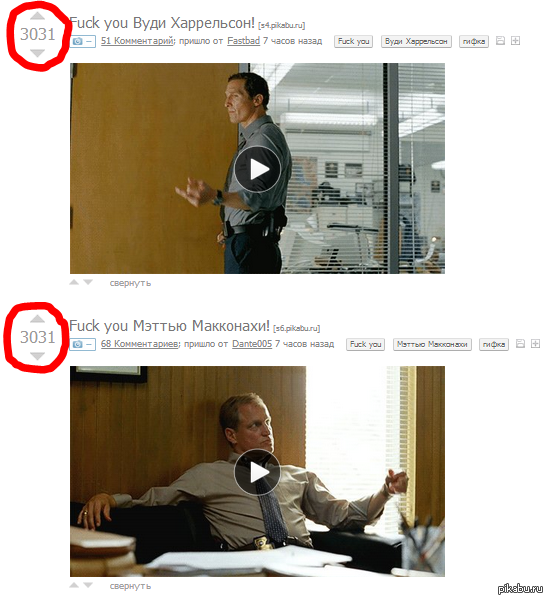 ���� 3031:3031