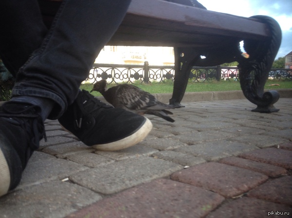 Обезбашенный парень