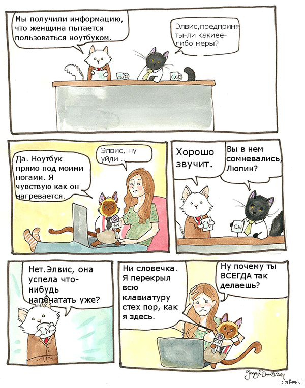 Котейкины новости - 7
