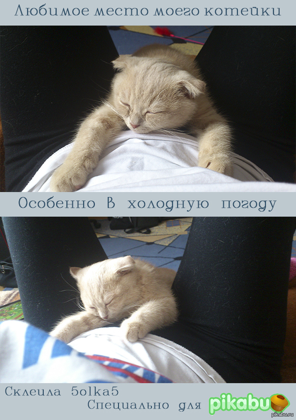 � ����-�� �� ������� ����, � � ���� ���