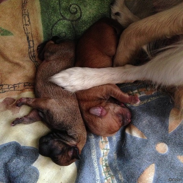 � � ��� ����� �������� ��� ����� �������!