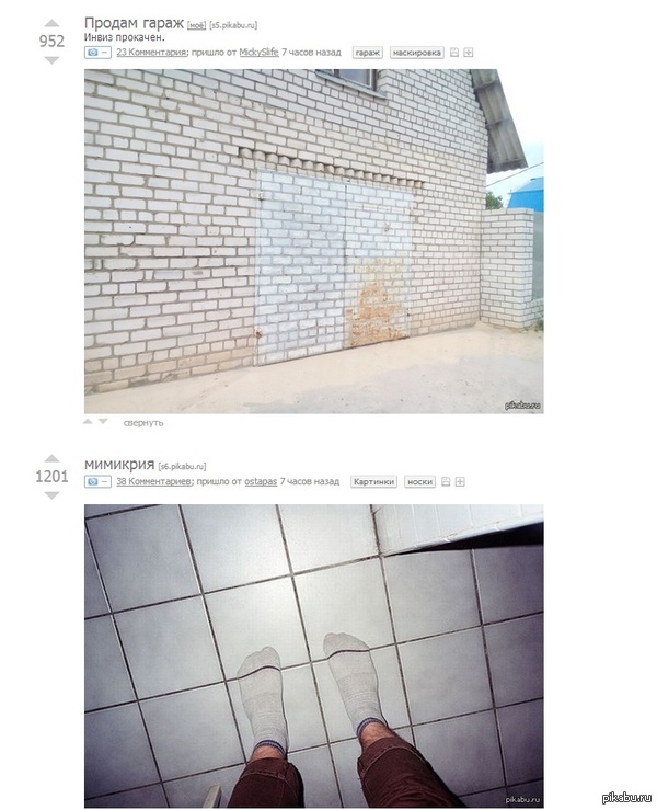 ����������?