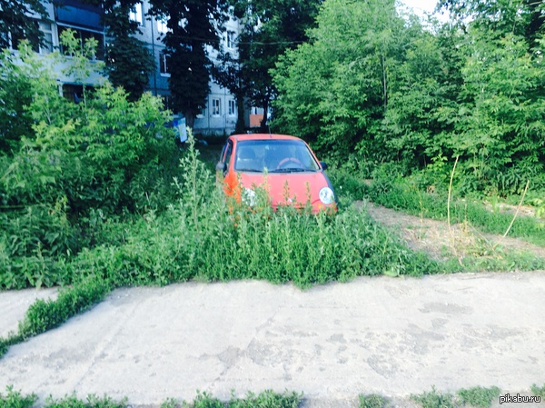 ���������)