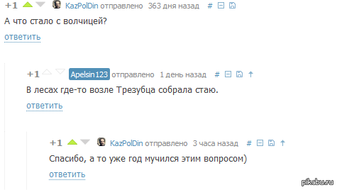 Целый год ждал