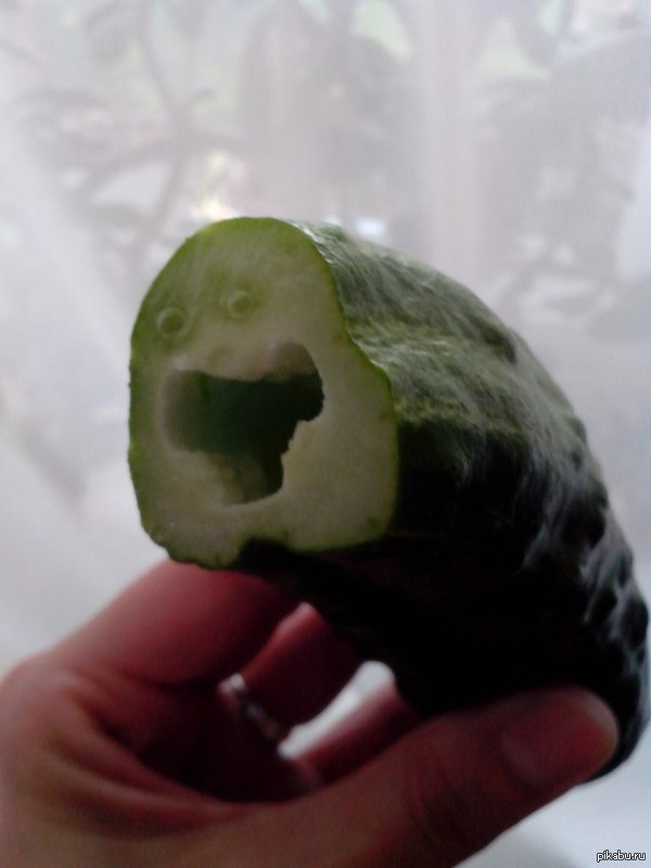 Жена отрезала попку у огурца