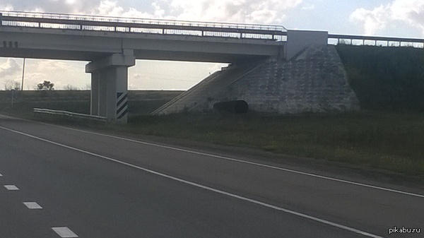 ���� ������ ����! ������ �����!)