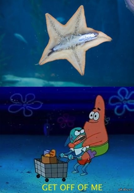 ���������� �������.