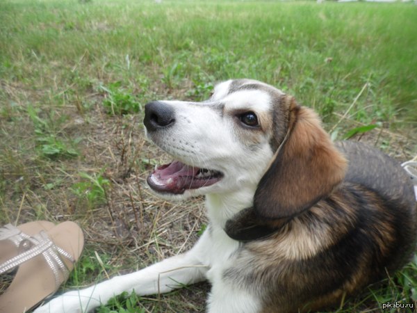 ���������� ���