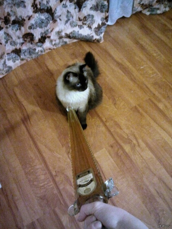 �� ����������� � ������������ ������ ������, ��� ���!