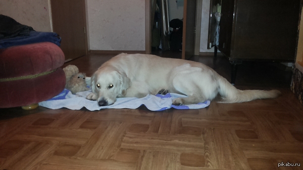 ������� ����� ��� ��� ������)