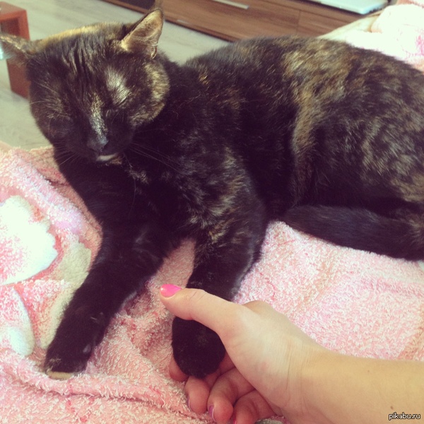 Давай держаться за руки))))