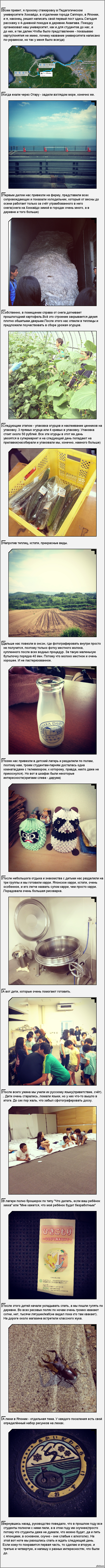 ��������. ���� ������.