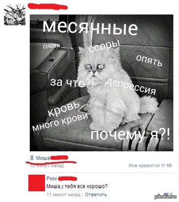 Опять месячные. Шутки про месячные.