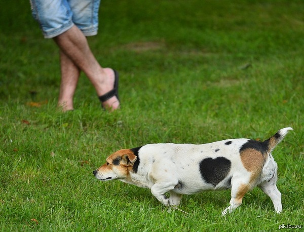 ������ ����������� ������� � ��������� �� ����