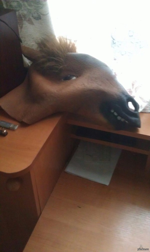 Застукал на днях свою маску коня вот в такой позе :D