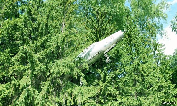 Внезапно | Пикабу