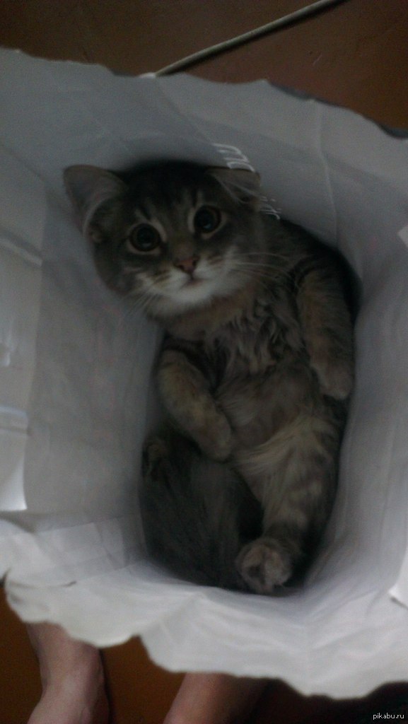 ������ ����� � ������